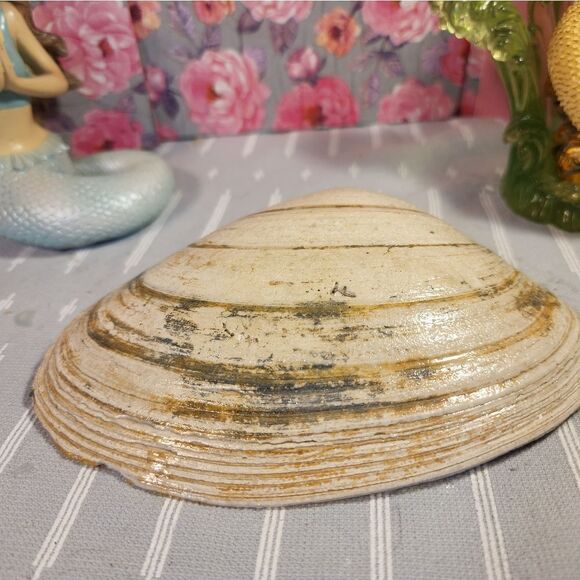 DECOUPAGE CLAM SHELL DECOUPAGE FLOWERS TRINKET DISH - Picture 9 of 11